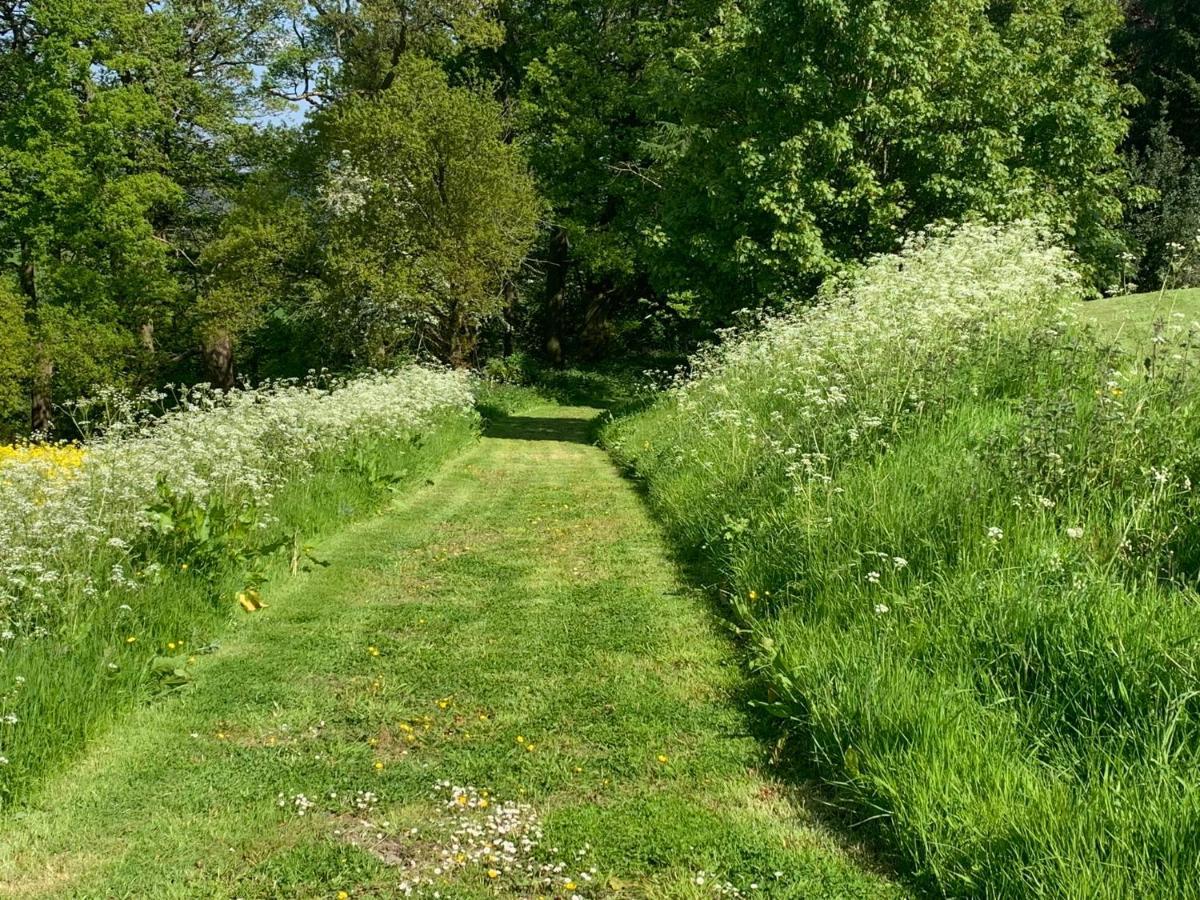 Upper Home Farm Plaish エクステリア 写真